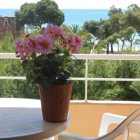 Tramontana Benicàssim