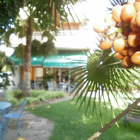 Hotel Tramontana Benicàssim