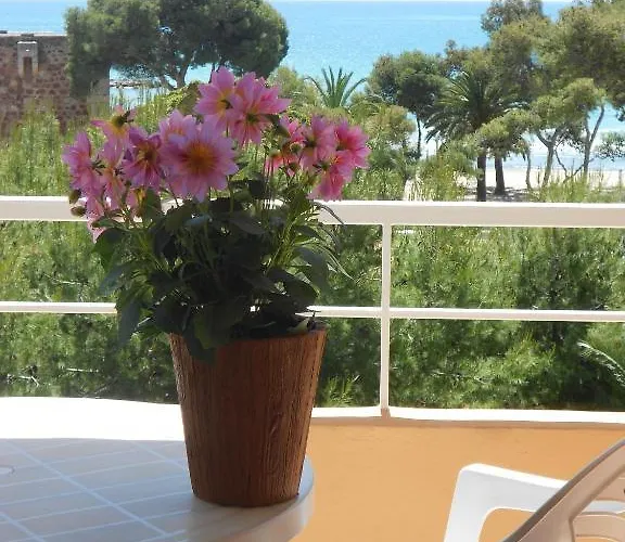 Tramontana Benicàssim